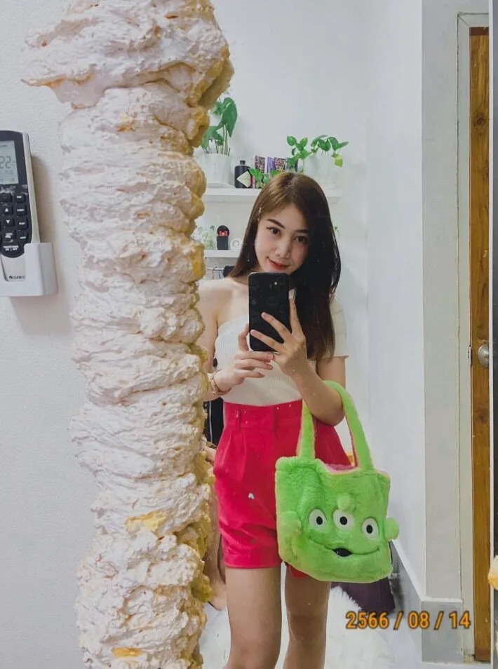 Chiến lược và tầm nhìn của Lan Chi Shyn đối với fc-stveit.at